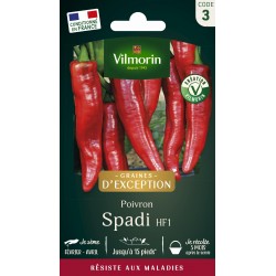 VILMORIN GRAINES...