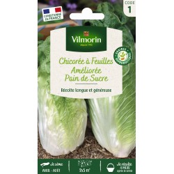 VILMORIN CHICORÉE À...
