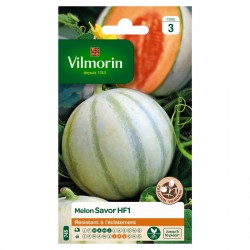 VILMORIN MELON Savor Hf1...