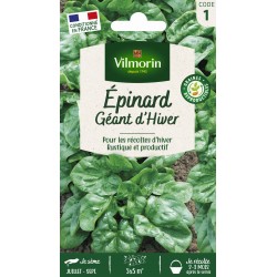 VILMORIN ÉPINARD Géant...