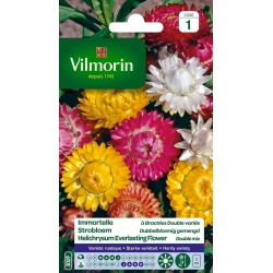 VILMORIN IMMORTELLE À...