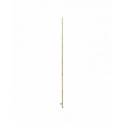 Tuteur BAMBOO Naturel...