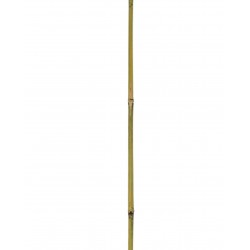 Tuteur BAMBOO Naturel...