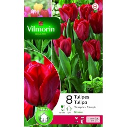 VILMORIN TULIPES Triomphe...