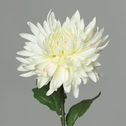 Tige Chrysantheme  Crème H72