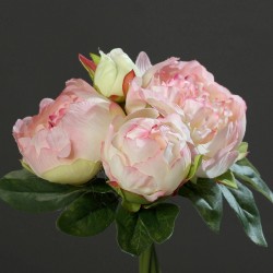 Bouquet Pivoines  Rose H20