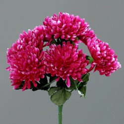 Bouquet Chrysanthemes X7...