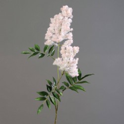 Tige Astilbe  Rose/Blanc H87