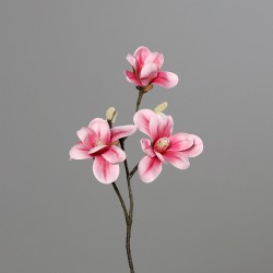 Pick Magnolia  Rose 40Cm