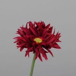 Tige Gerbera  Bordeaux H57