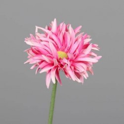 Tige Gerbera  Rose H57