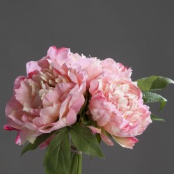 Bouquet Pivoine X3  Rose H26