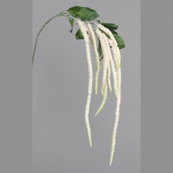 Chute Amaranthus  Crème H135