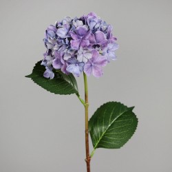 Tige D' Hortensia  Bleu H54