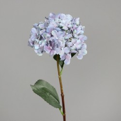 Tige Hortensia  Rose H54