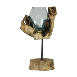 Vase Sur Racine Sur Pied...