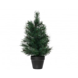 Sapin Canada En Pot Vert...