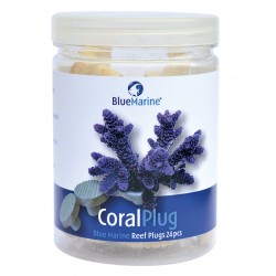 BLUE MARINE CORAL PLUG X24