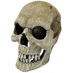 REPTO DECO HUMAN SKULL Xl