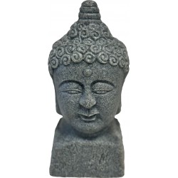 SUPERFISH ECO-DECO BUDDHA...