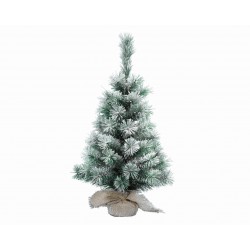 Sapin Vancouver Vert/Blanc...