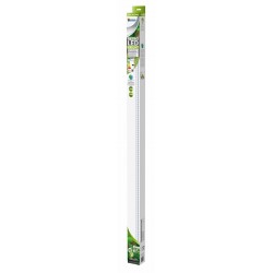 SUPERFISH RETRO LED BRIGHT...