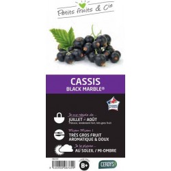 CASSISSIER Black Marble® C1.5L