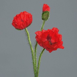 Tige Pavot 3 Fleurs  Rouge H48