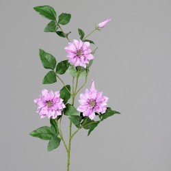 Tige Clematite 2 Fleurs/2...