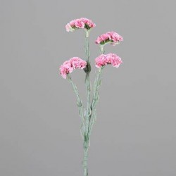 Tige Statice 4 Fleurs  Rose...