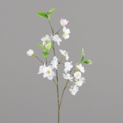 Tige Fleur De Cerisier...