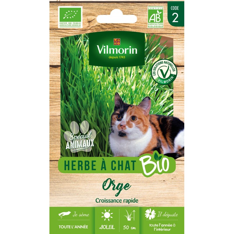 Graines Herbe à chat (Orge)
