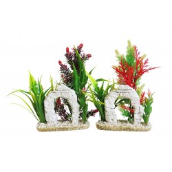 Décor aqua plante...
