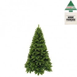 Sapin Tsuga Vert En Pvc...