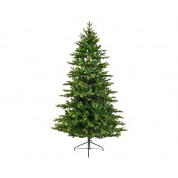Sapin Galloway Vert En...