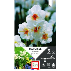 NARCISSE pluriflore Bridal...