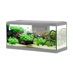 AQUA Tana 80 kit Gris 84L