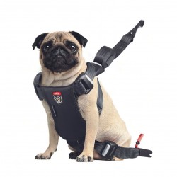 ZOLUX TRAVEL SAFE Harnais...