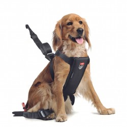 ZOLUX TRAVEL SAFE Harnais...