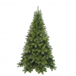 Sapin Tuscan Vert...
