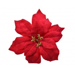 Poinsettia Sur Clip Rouge...