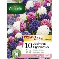 VILMORIN PROMO+25%...