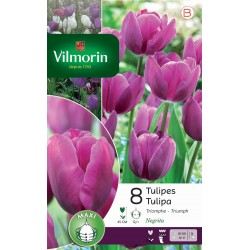 VILMORIN TULIPES Triomphe...