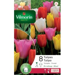 VILMORIN TULIPES Triomphe...