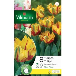 VILMORIN TULIPES Perroquet...
