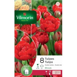 VILMORIN TULIPES Double...