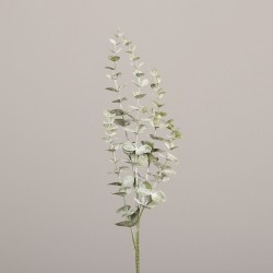 Tige Eucalyptus  Vert H73