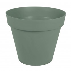 Pot TOSCANE Ø80 laurier...
