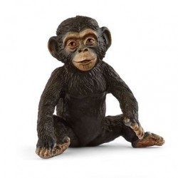 Jeune Chimpanzé Wild Life...