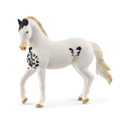 Étalon Marwari Horse Club...